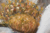 rucne-malovany-obraz-CWFFL036.jpg-1